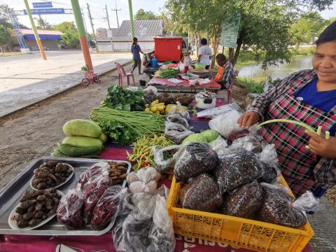 ตลาดนัด ตลาดแซมซาย