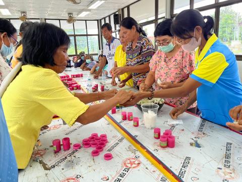 โครงการฝึกอบรมและส่งเสริมอาชีพสำหรับผู้สูงอายุ ปี 2567