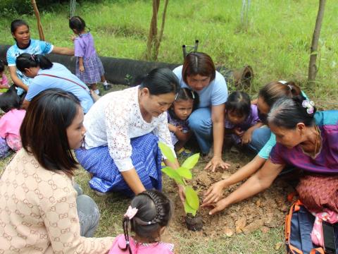 โครงการอนุรักษ์พันธุกรรมพืช